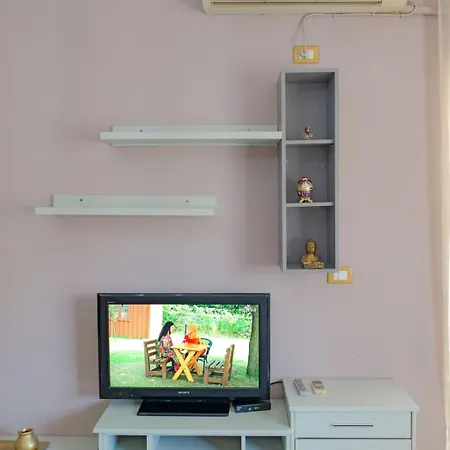 Sunflower ساراندا